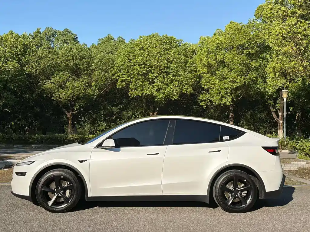 Tesla Model Y — миниатюра 9