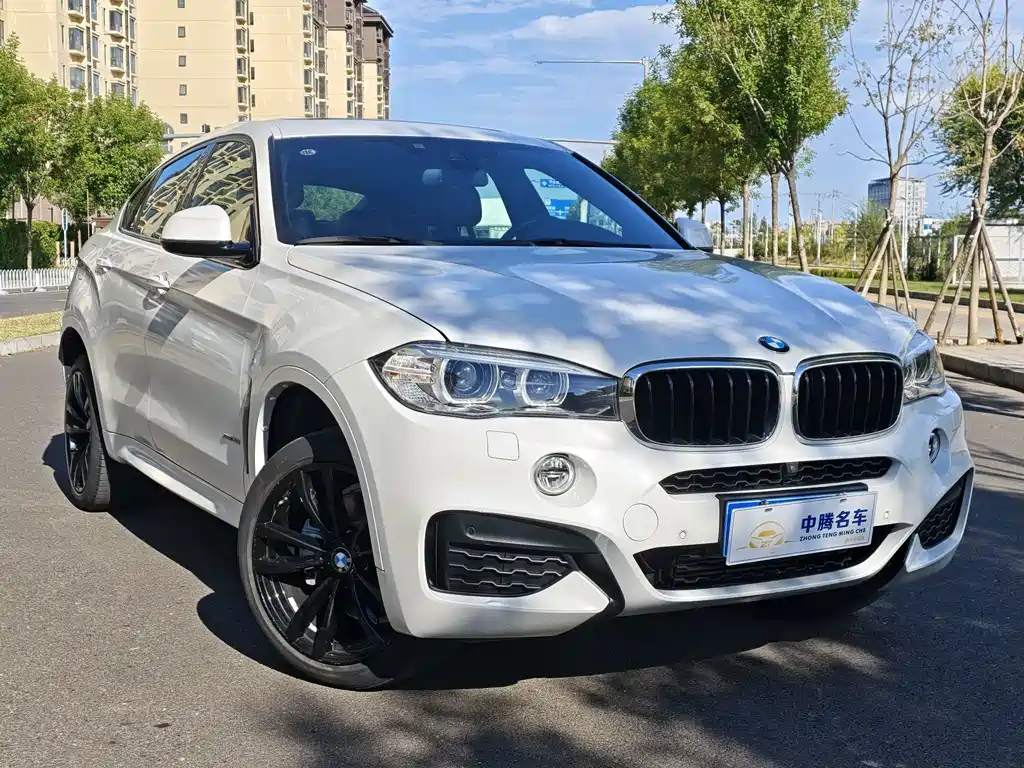 BMW X6 — миниатюра 3