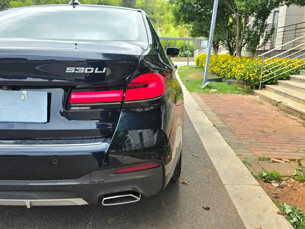 BMW 5 Series 5 2021 530Li Lead M Sport