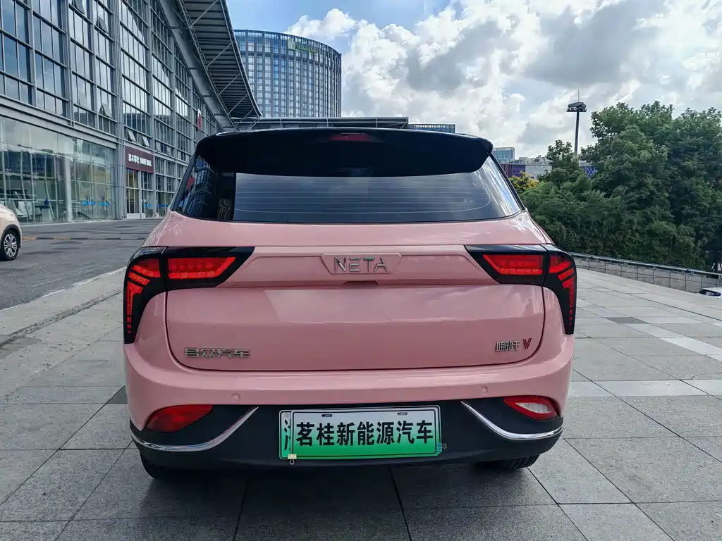 Neta Neta V — миниатюра 5