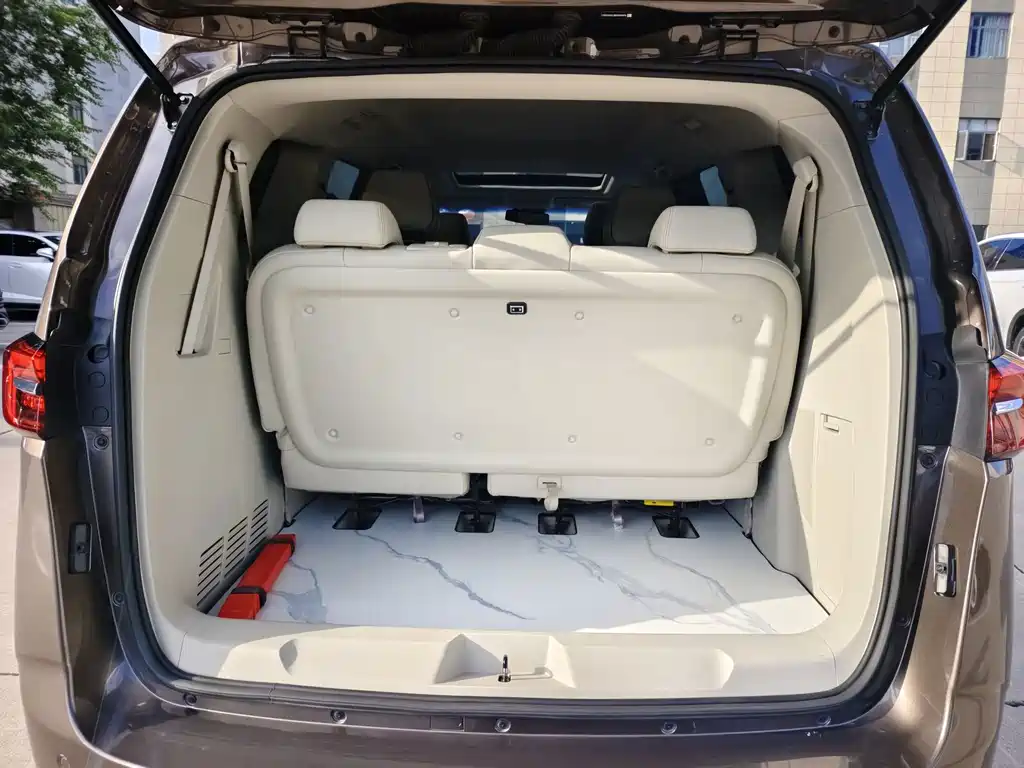 Buick GL8 — миниатюра 15