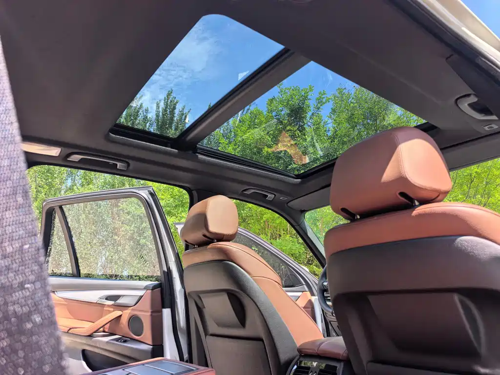 BMW X5 (Import) — миниатюра 23