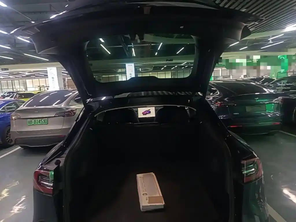 Tesla Model Y — миниатюра 19