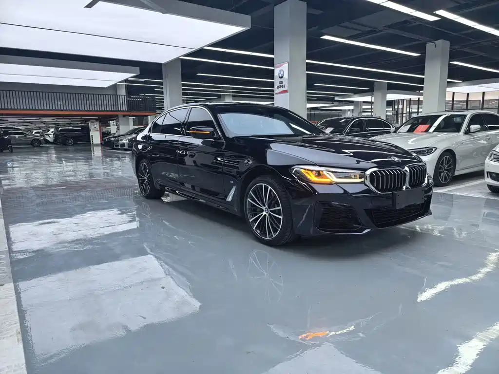 BMW 5 Series — миниатюра 3