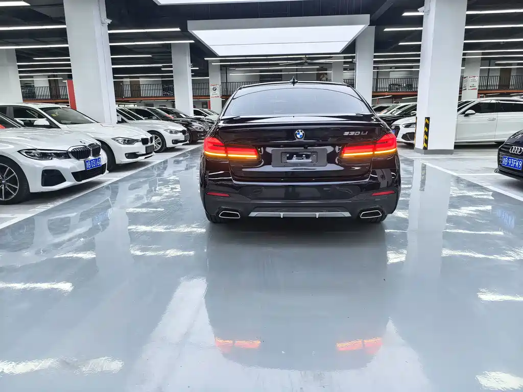 BMW 5 Series — миниатюра 15