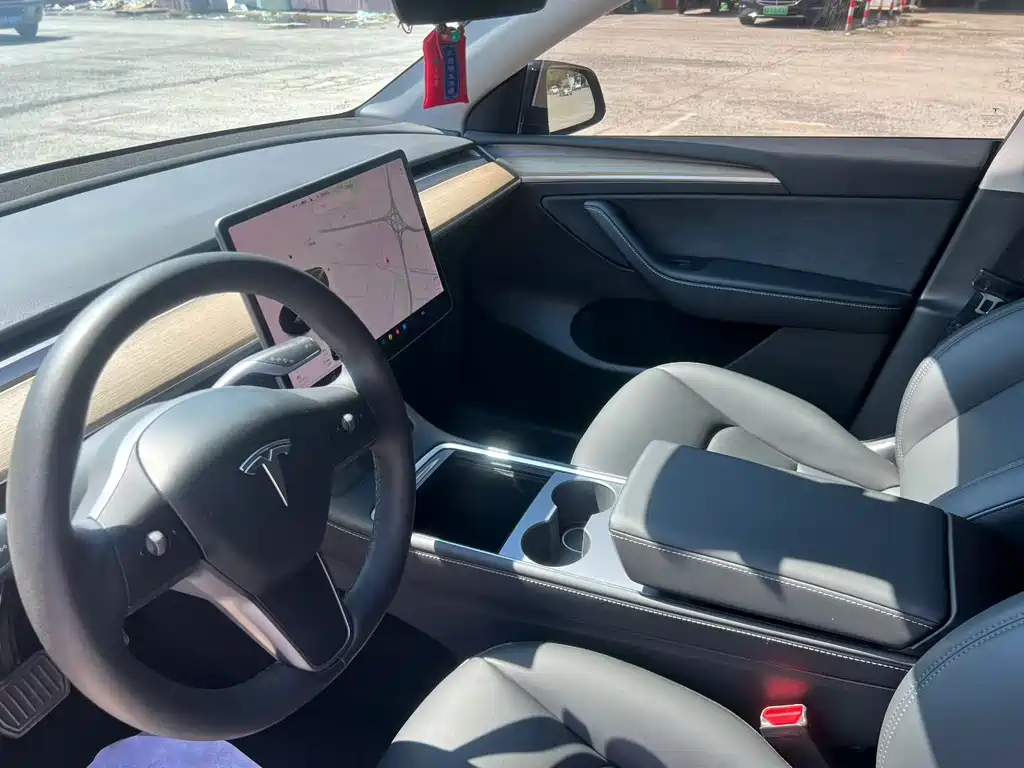 Tesla Model Y — миниатюра 6