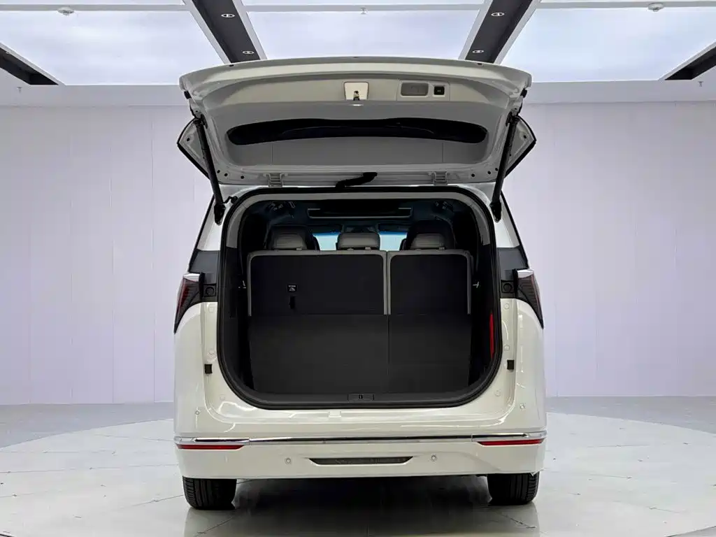 Buick GL8 — миниатюра 9