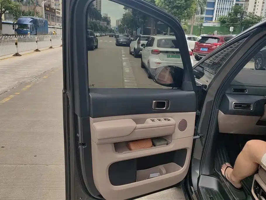 Li Auto MEGA 2025 Home