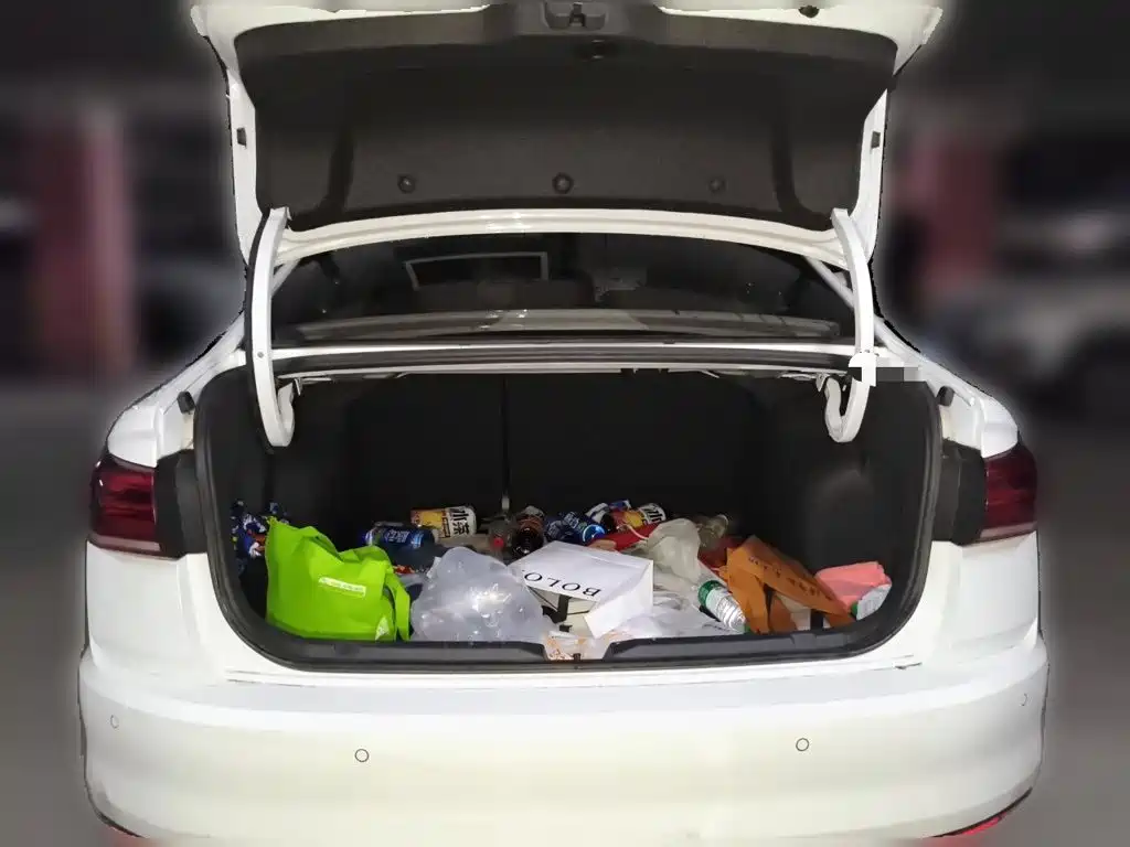 Volkswagen Bora — миниатюра 10