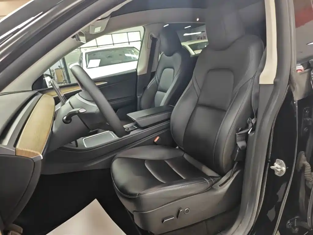 Tesla Model Y — миниатюра 15