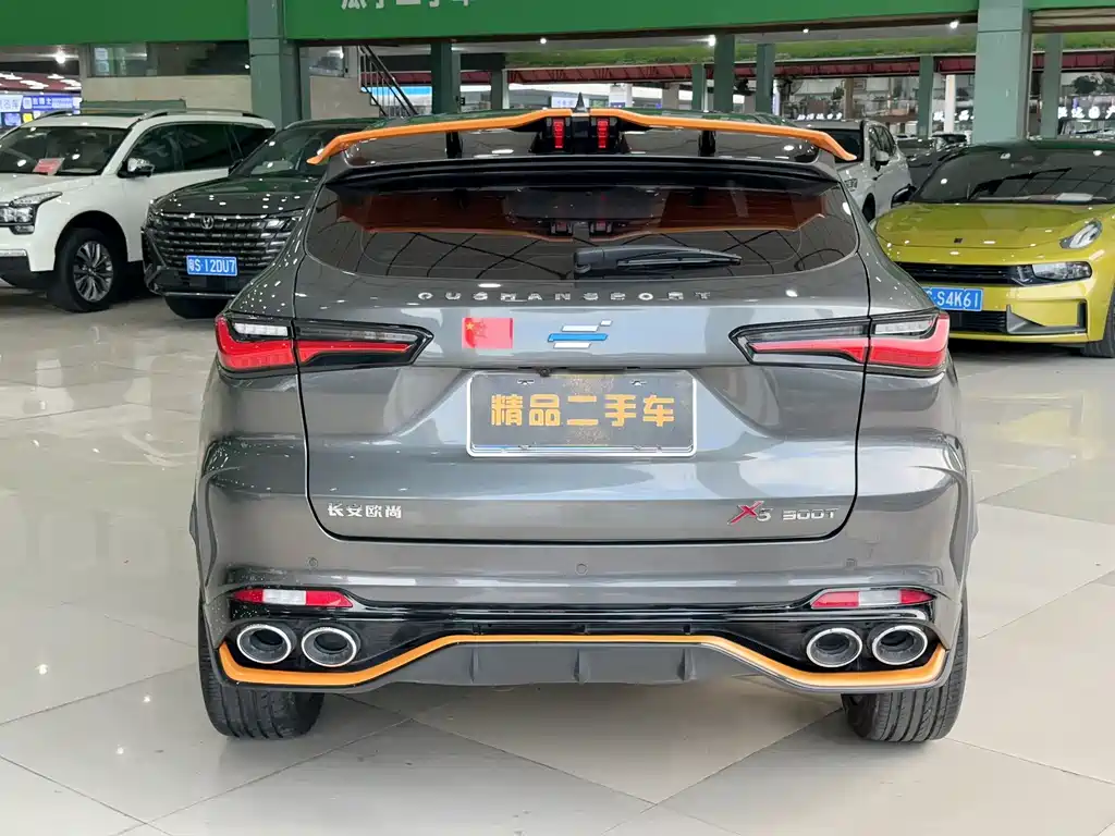 Oshan Oushang X5 — миниатюра 11