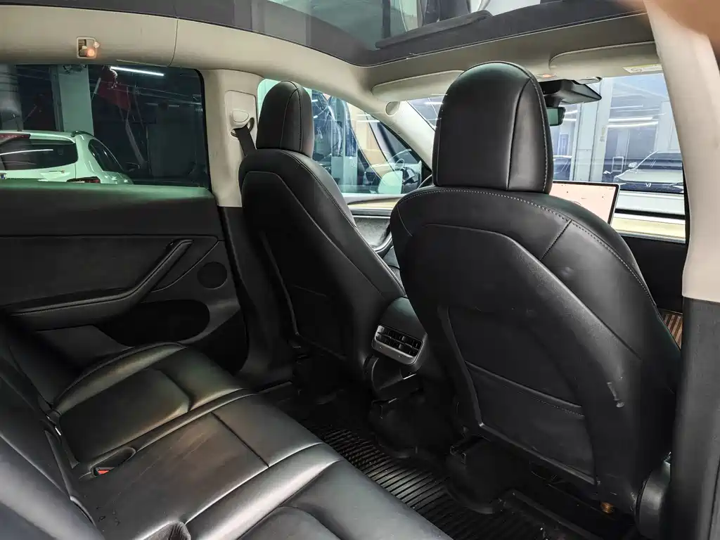 Tesla Model Y — миниатюра 10