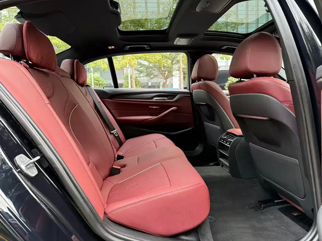 BMW 5 SERIES NEW ENERGY