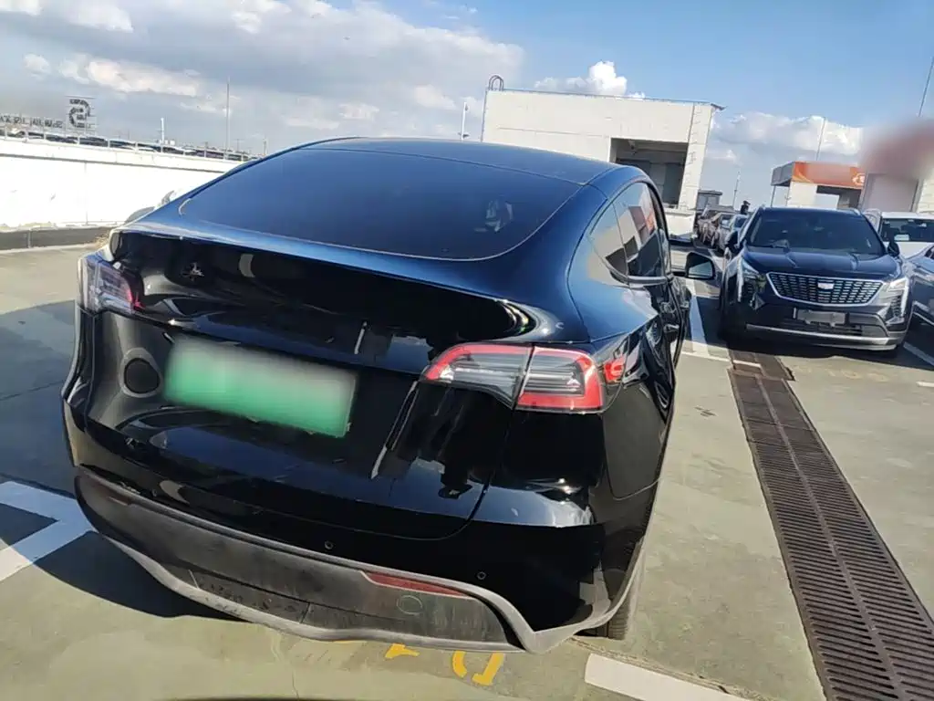 Tesla Model Y — миниатюра 7