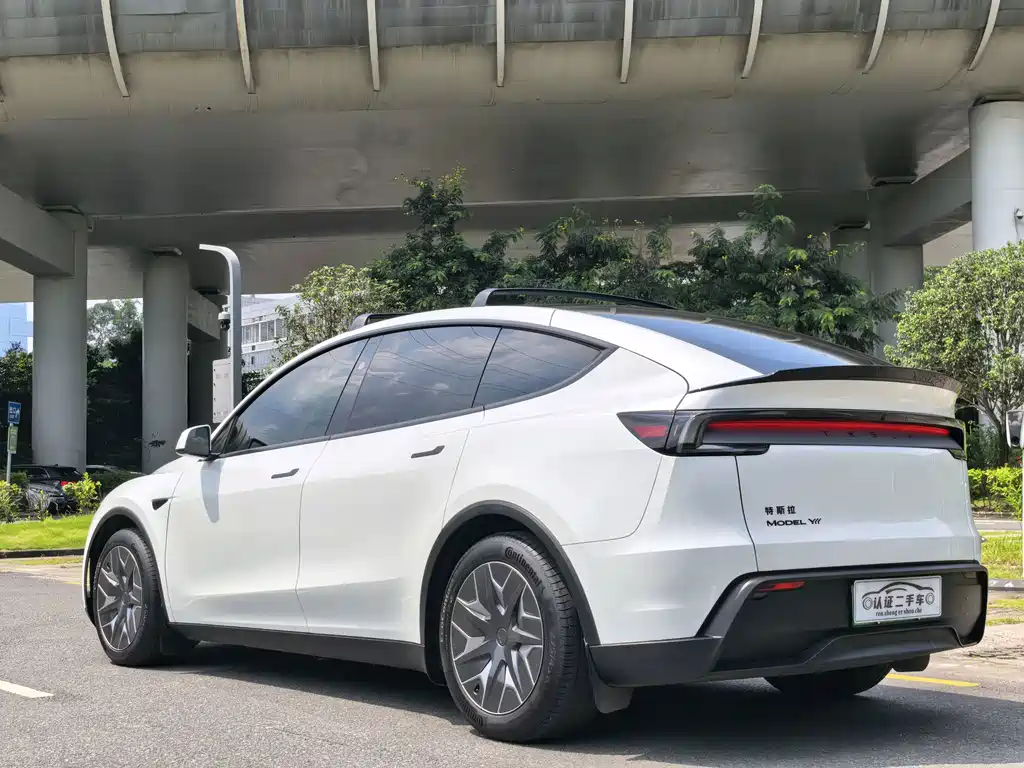 Tesla Model Y L — миниатюра 10