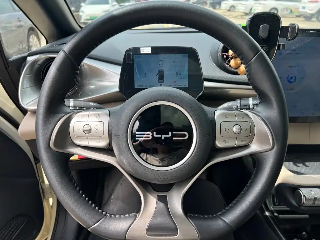 BYD Dolphin 2023 420km Fashion