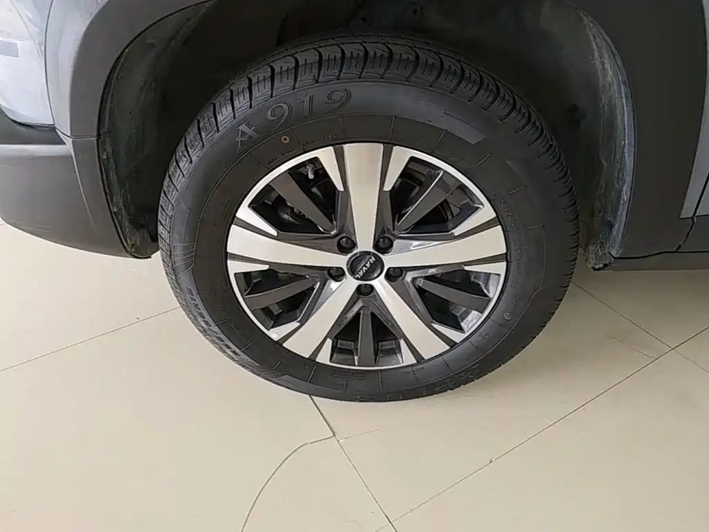 Haval Big Dog — миниатюра 23