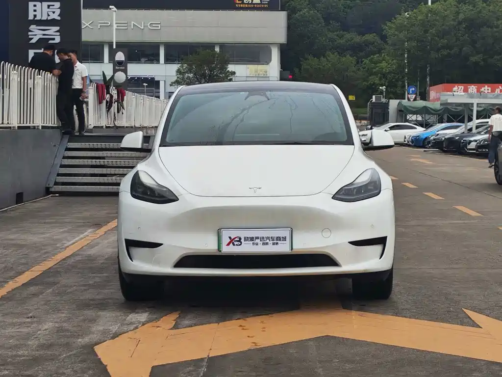 Tesla Model Y — миниатюра 5