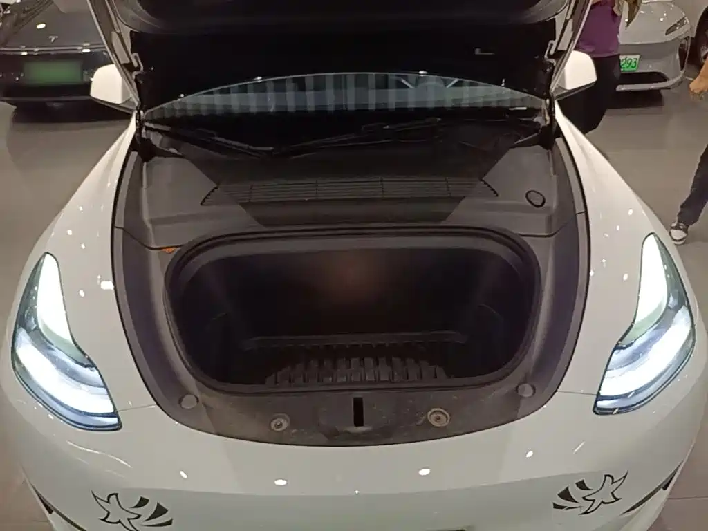 Tesla Model Y — миниатюра 20