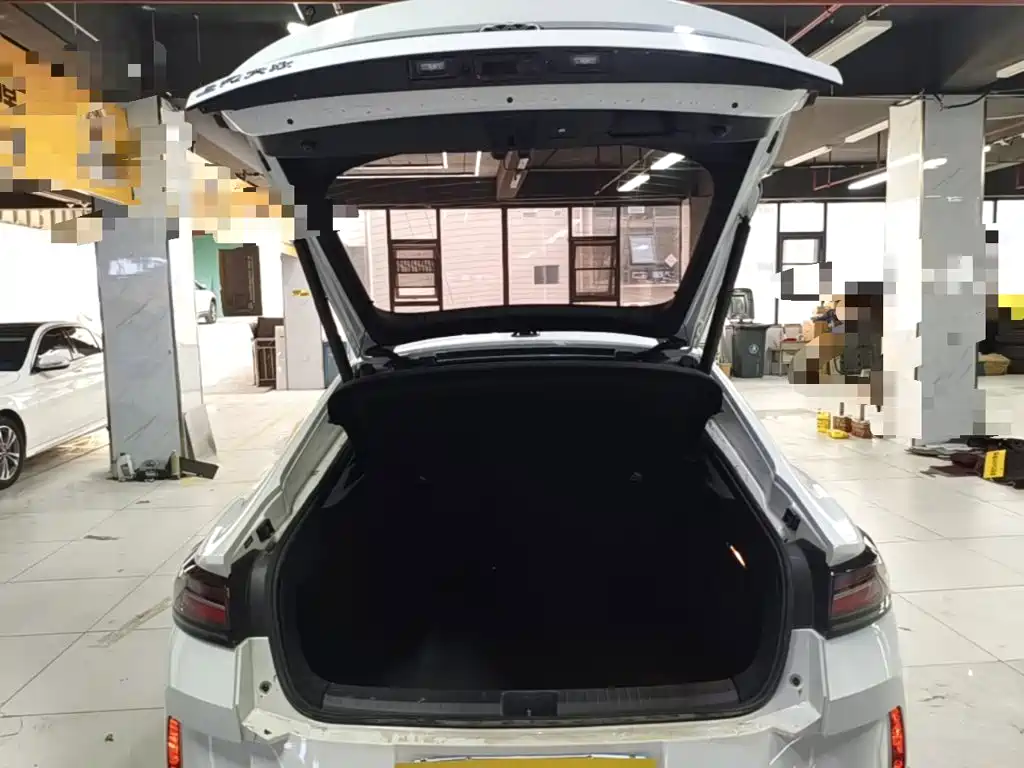 Volkswagen Lamando — миниатюра 19
