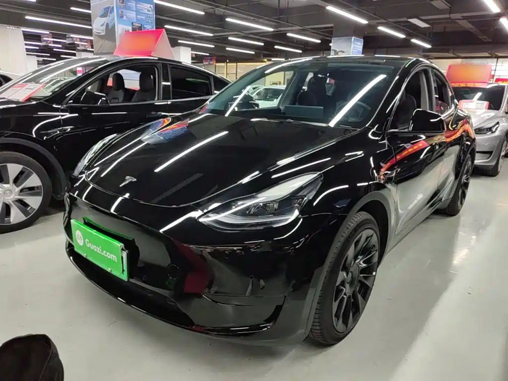 Tesla Model Y — миниатюра 2