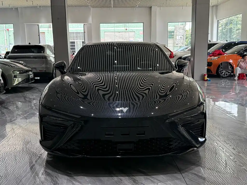 Neta S 2024 1160