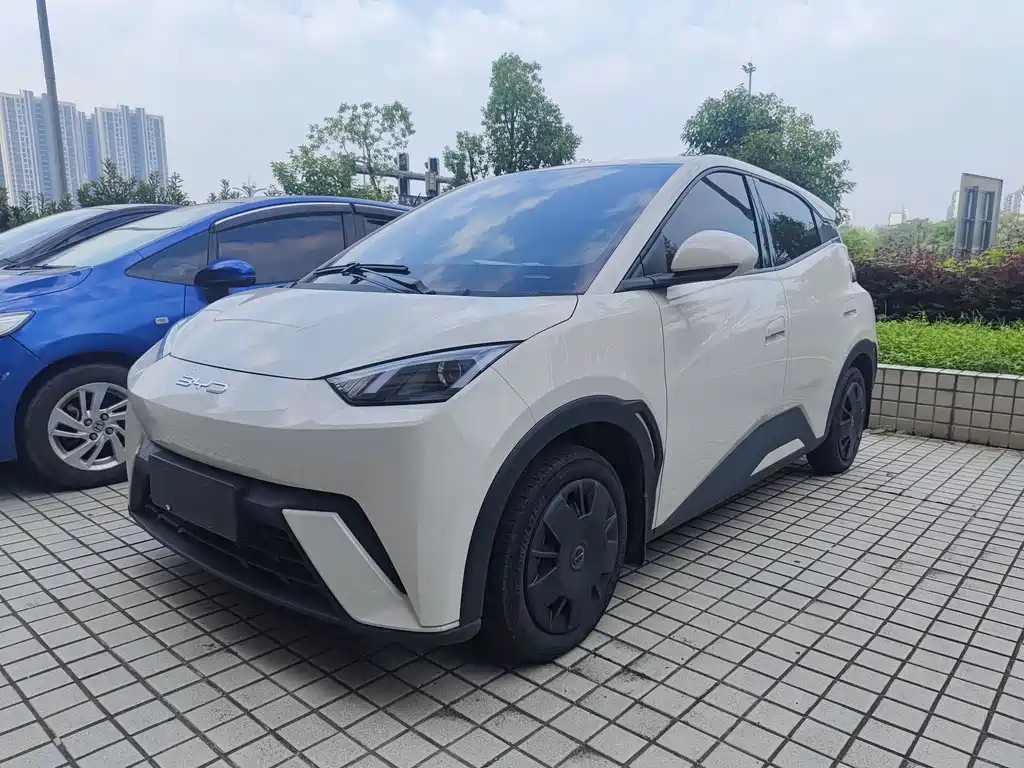 BYD Seagull