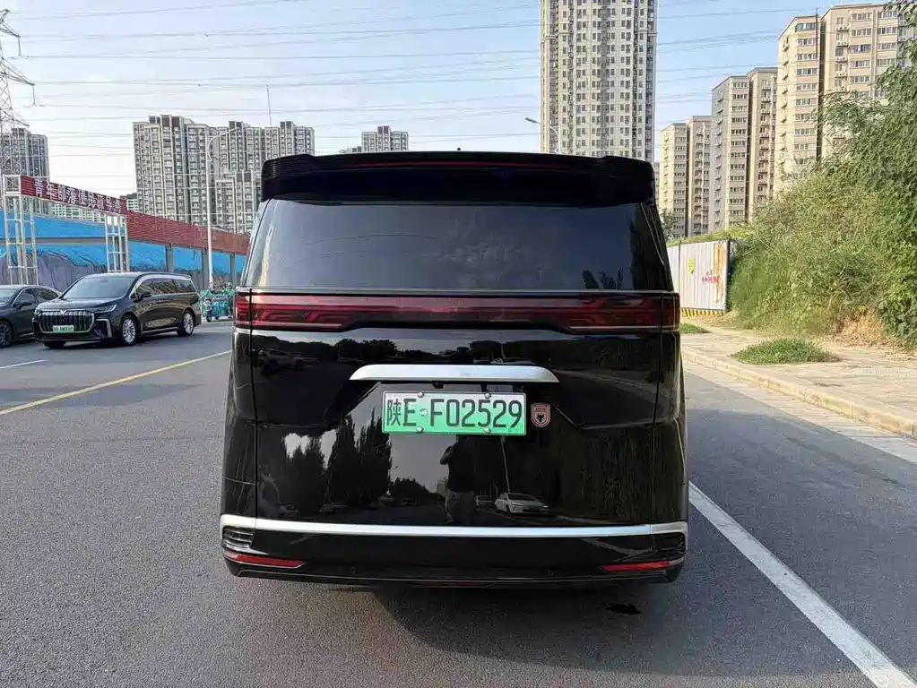 Denza Denza D9 — миниатюра 7