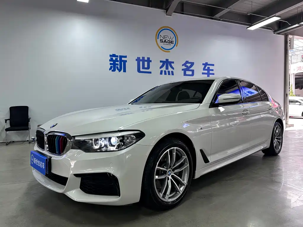 BMW 5 Series 2019