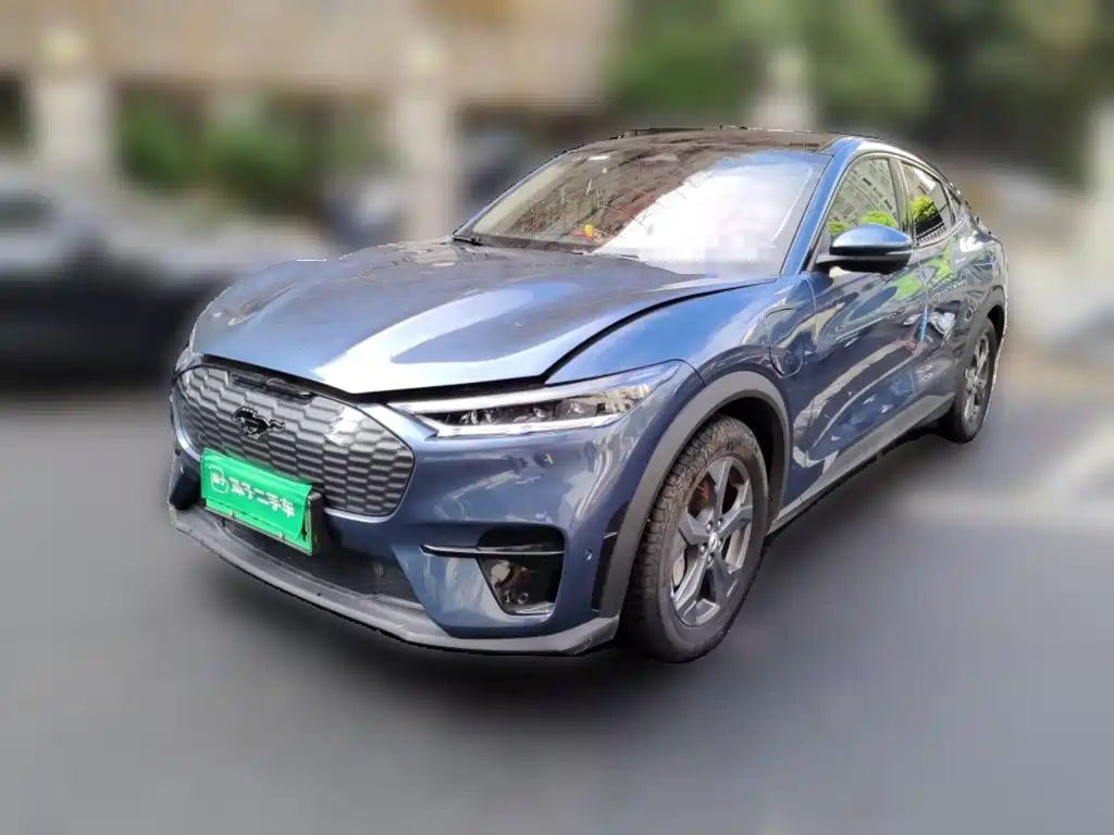 Ford Mustang Mach-E — миниатюра 2