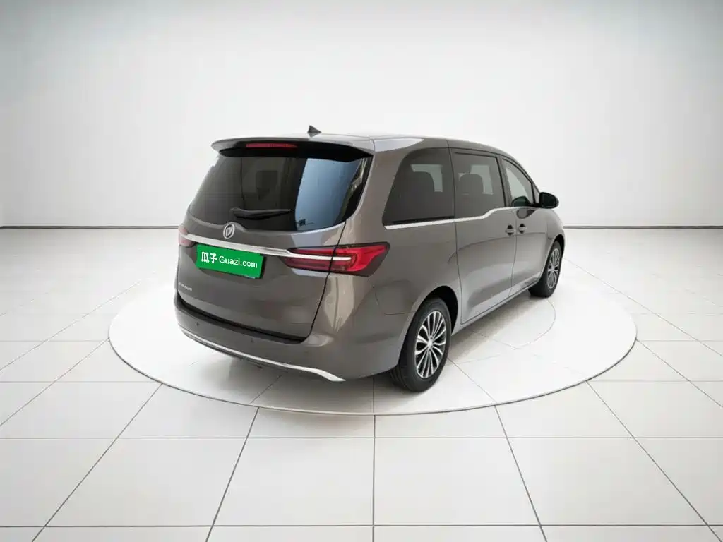 Buick GL8 — миниатюра 6