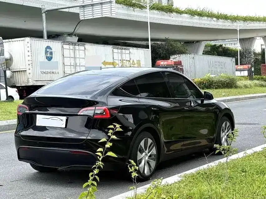 Tesla Model Y — миниатюра 4