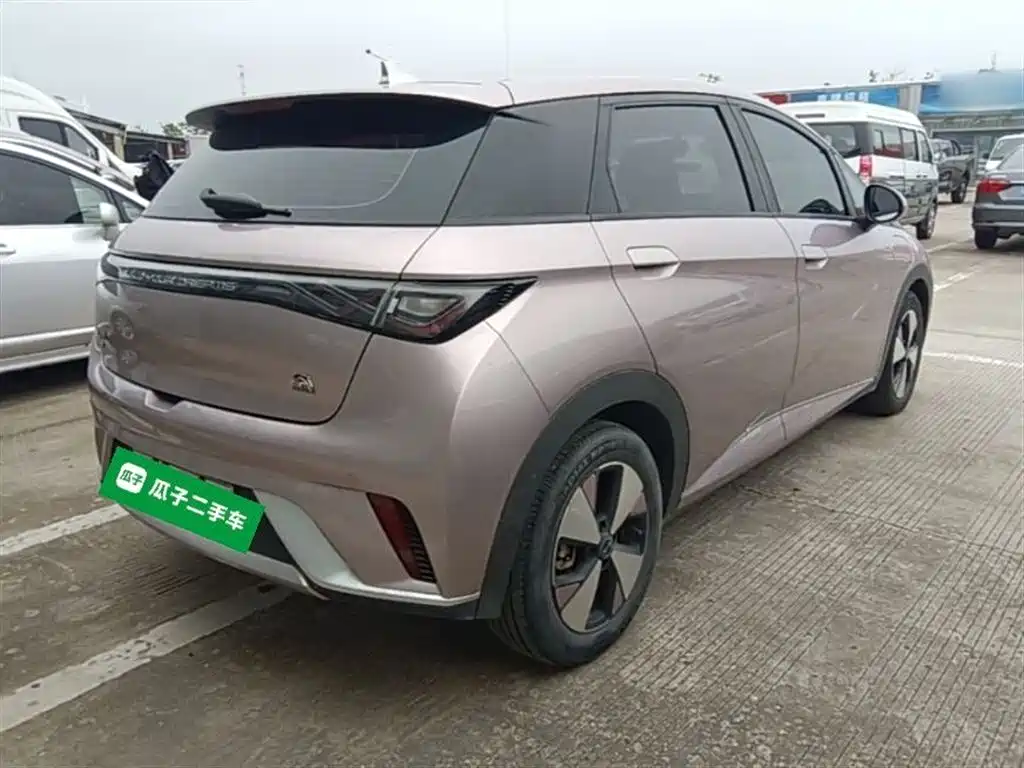 BYD Dolphin 2023 420km Freedom
