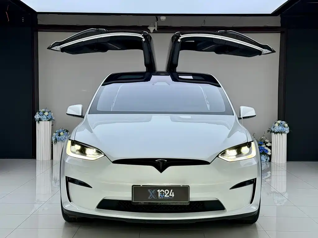 Tesla Model X — миниатюра 2