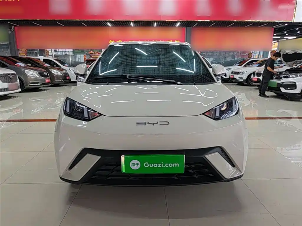 BYD Seagull
