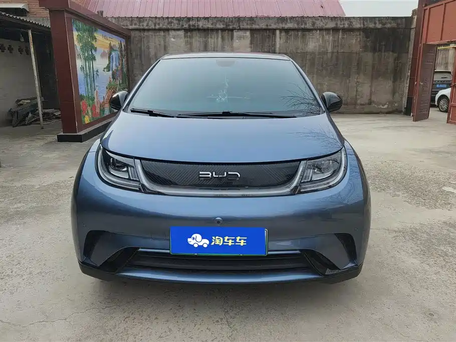 BYD DOLPHIN