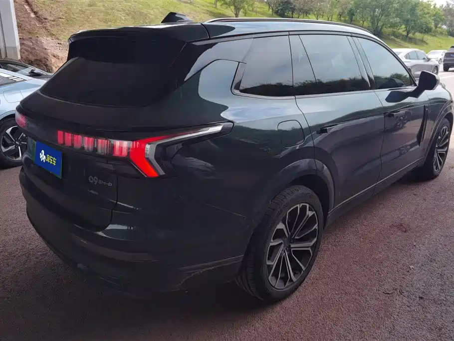 Lynk & Co 09 EM-P 2024 2.0TD EM-P ULTRA мест