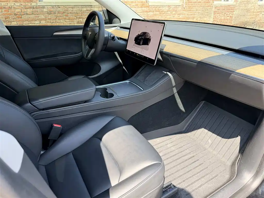Tesla Model Y — миниатюра 11