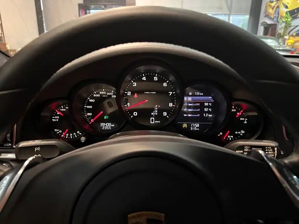 Porsche 911 — миниатюра 13