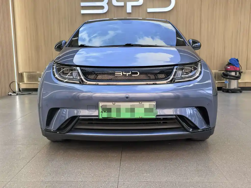 BYD Dolphin — миниатюра 3
