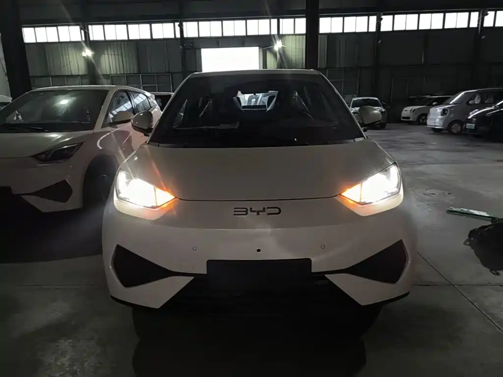 BYD Seagull 2025 Smart Drive 305km Freedom