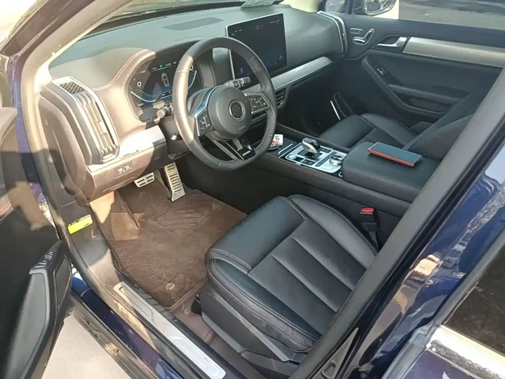 BYD Tang New Energy — миниатюра 16