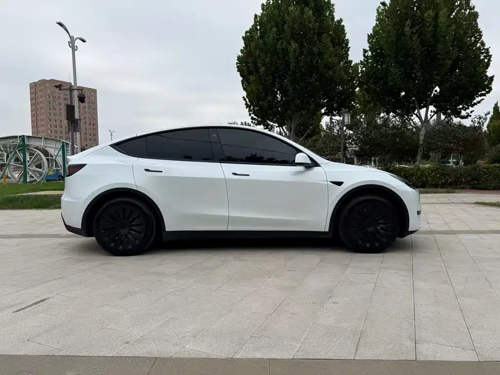 Tesla Model Y — миниатюра 5