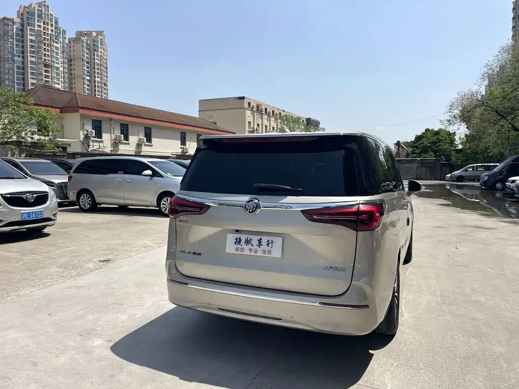 Buick GL8 ES LandKing 653T Comfort Type, фото 6