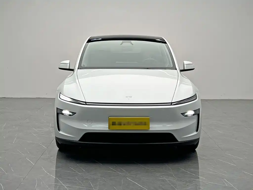 Tesla Model Y — миниатюра 2