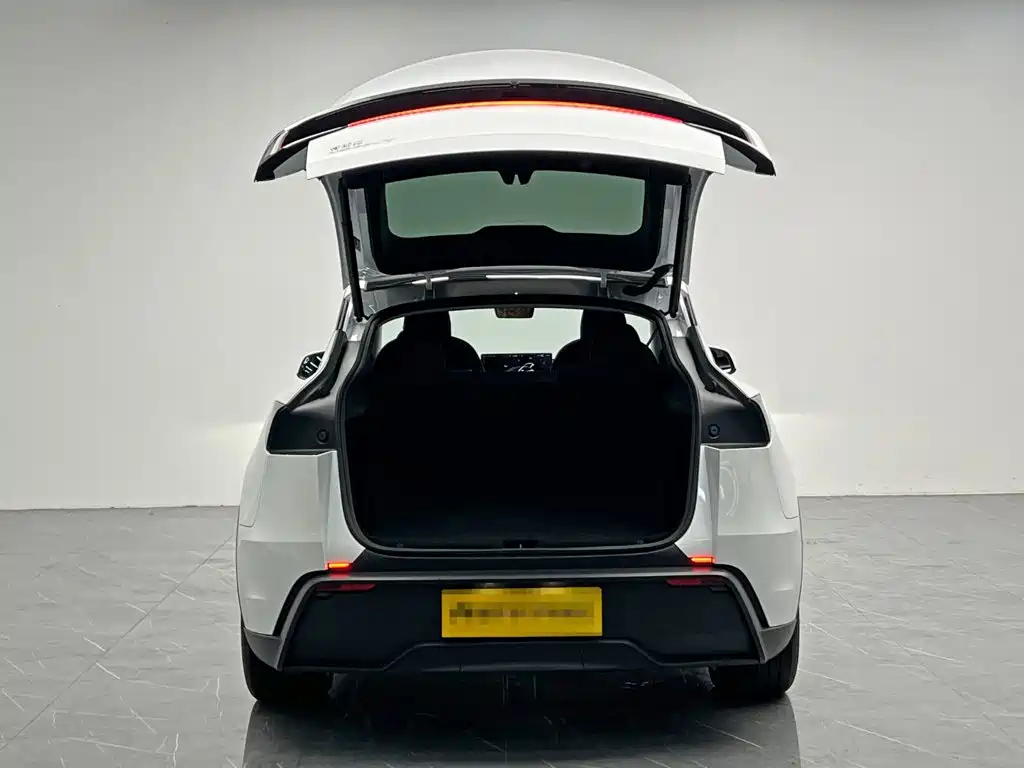 Tesla Model Y — миниатюра 12