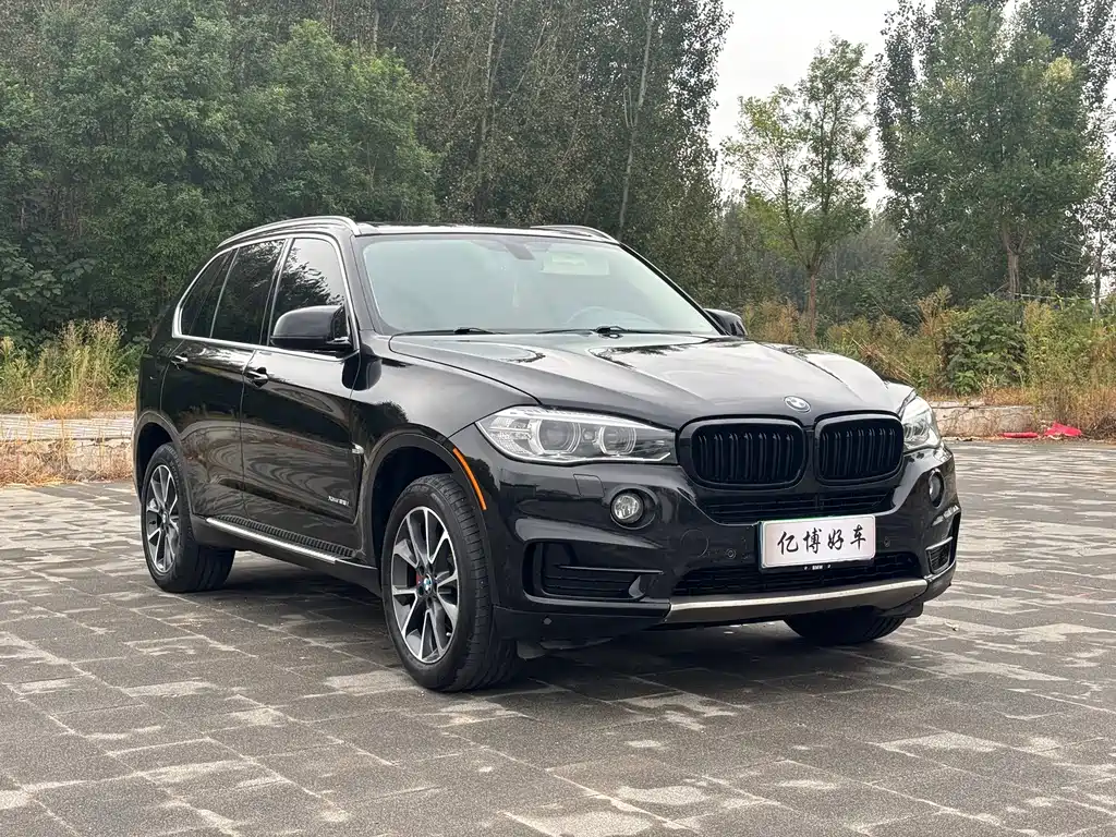 BMW X5 (Import) — миниатюра 3