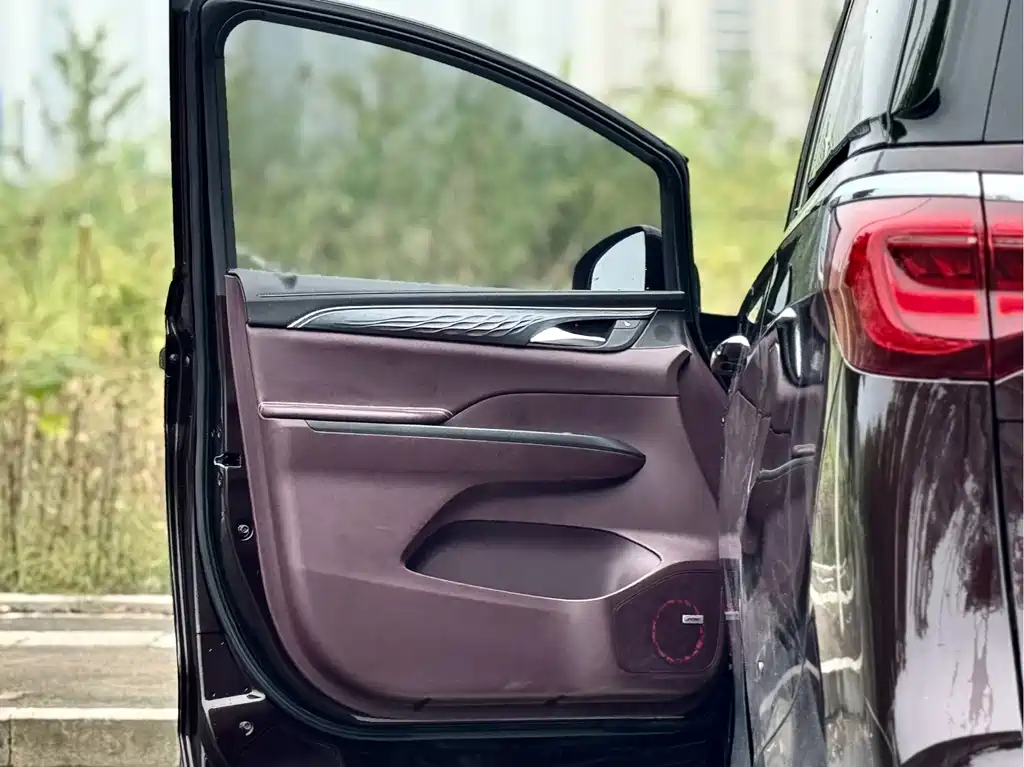 Buick GL8 — миниатюра 7