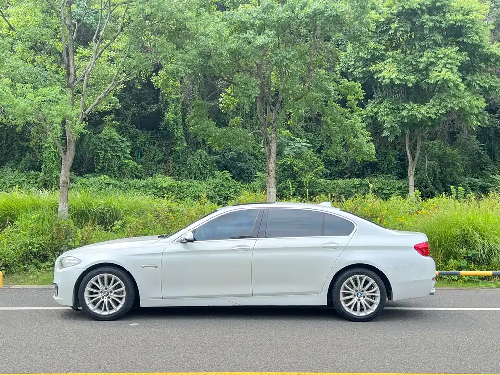 BMW 5 Series 5 2017 525Li Luxury