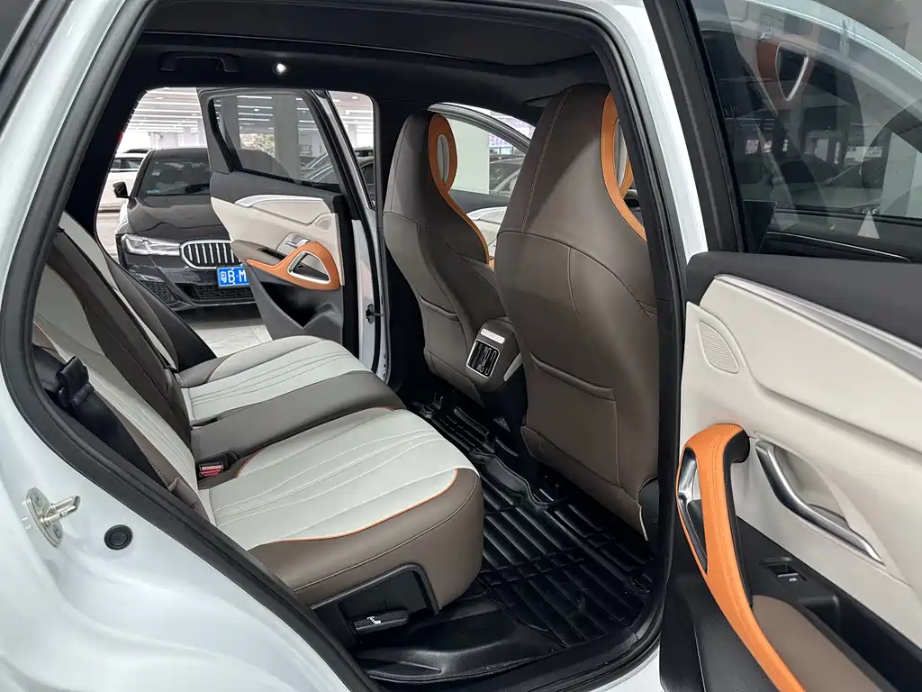 BYD SONGJIANG NEW ENERGY